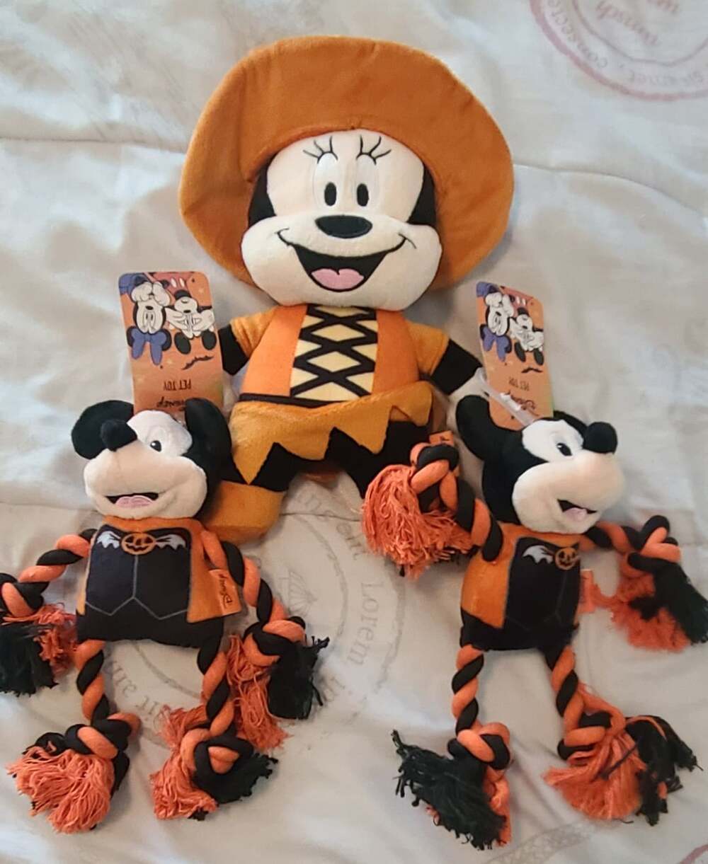 Disney Minnie Mouse 9 inch Halloween Plush Pet Toy and 2 Mickey Rope toys